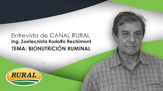 👉 ENTREVISTA IMPERDIBLE de Canal Rural al Ing Rodolfo Rechimont sobre la Bionutrición Ruminal [upl. by Eilerua]