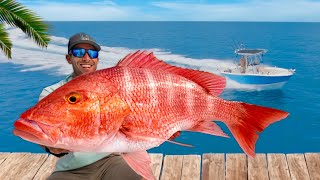 The Truth About Floridas Endangered Fishery Catch Clean amp Cook Red Snapper [upl. by Sly]