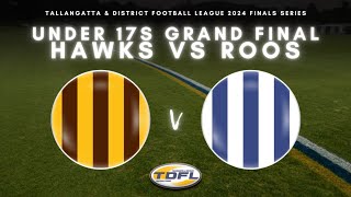 TDFL 2024 Under 17s Grand Final [upl. by Ainehta]