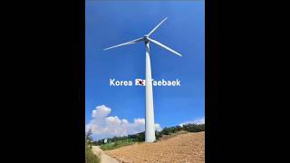 한국 🇰🇷 강원도 태백 KoreaTaebaek Gangwon 매봉산 바람의언덕 여행 취미 힐링 구름 휴식 풍력발전기 바람개비 [upl. by Kotick]