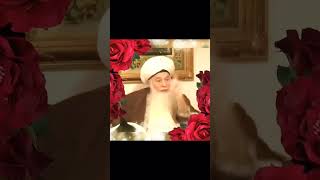 The Sweetness of Islam Shaykh Hisham Kabbani spiritualitye [upl. by Anora]