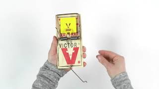 How to Set the Victor® Plastic Pedal Rat Trap [upl. by Sihon]