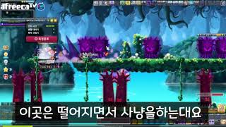 메이플 다크나이트 사냥터2아르카나신전 [upl. by Eem]