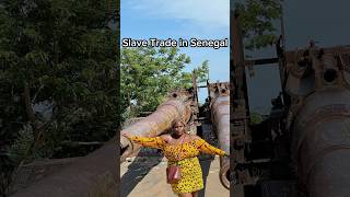 The Island where Slaves were traded in Senegal slavetrade goreeisland senegal [upl. by Mizuki]