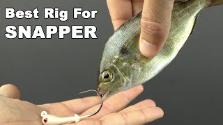 How To Rig Pinfish For Big Mangrove Snapper And Other Offshore Species [upl. by Teferi]