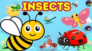 INSECT NAME  Insect Name With Spelling And Pictures  Creation For Kids [upl. by Enigroeg]