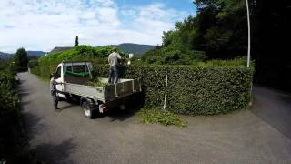 Hecke schneiden mit den Gartenprofis [upl. by Aihsatsan]