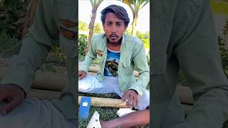 Ham latrin karke khati hai 😂 uljha Diya 🤣 discover comedy wala statmrfanny funny shorts [upl. by Voorhis]