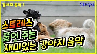 강아지음악 1  quot스트레스 풀어주는 재미있는 강아지 음악quot 60분 [upl. by Dorsy]