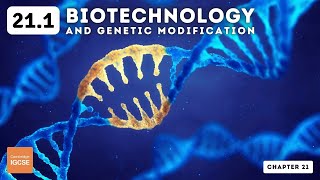 IGCSE Biology  Biotechnology and genetic modification 211 [upl. by Alisan]