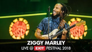 EXIT 2018  Ziggy Marley Live  Main Stage FULL SHOW [upl. by Rdnaskela]