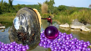 😱😱Freshwater giant clams nurture enchanting purple pearls no less impressive than saltwater pearls [upl. by Lamok958]