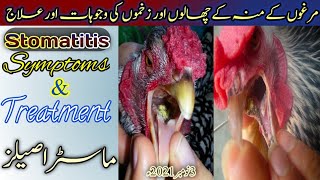 Aseel k munh k chalon ka ilaj treatment of stomatitis mouth canker Master Aseels [upl. by Hebert]