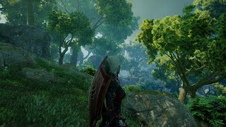 Dragon Age Inquisition  Ambient Music Emerald Graves [upl. by Josi]