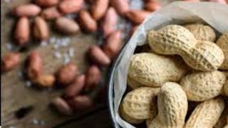 Peanut sundal  verkadalai sundal Nanjil Vanitha Samayal [upl. by Zarla42]