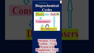 Biogeochemical cycles carboncycle nitrogencycle bscbotany neet oxygencycle bsczoology biology [upl. by Nodarb]