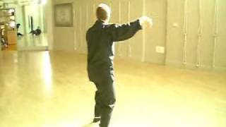 Chen PanLing Taijiquan First Section [upl. by Crescin600]