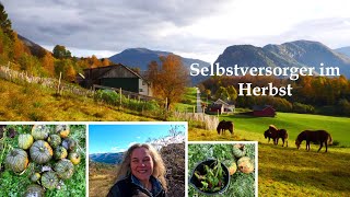 Selbstversorger im Oktober  Tägliches langsames Leben am See in den Bergen in Norwegen 9 [upl. by Zechariah939]