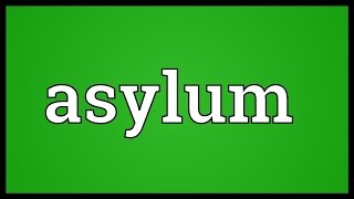 Asylum Meaning [upl. by Atipul637]