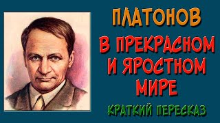 В прекрасном и яростном мире Краткое содержание [upl. by Cairns59]