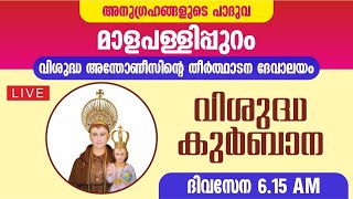 13 JUNE 2024  HOLY MASS  ST ANTONY PILGRIM CHURCH MALAPALLIPURAM [upl. by Niles]