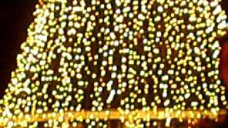 LUCES DE NAVIDAD EN MIAMI [upl. by Eserehs]