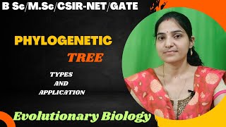 Phylogenetic Tree BSc 3rd yearTypesRooted And Unrootedevolution phylogeny [upl. by Elita]