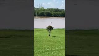 Red River flooding behind Willow Terrace Drive [upl. by Leede]