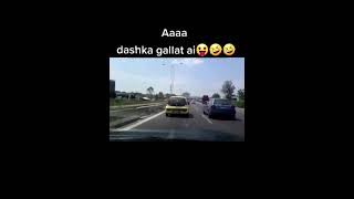 Dashka gallat ai [upl. by Alrad]