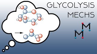 The Mechanisms of Glycolysis Part 1 [upl. by Lehcer]