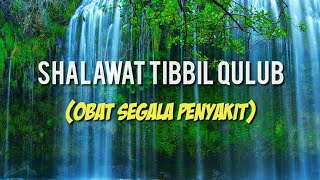 Sholawat TIBBIL QULUB Obat Segala Penyakit [upl. by Lezlie]