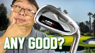 Cheap Single Length Golf Irons Review [upl. by Rosenberg]