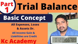 Grade 10 Accountancy  Trial Balance  Basic Concept  Part 1  SEE Account  Kc Academy [upl. by Ecnerret]