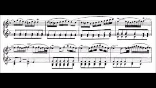 Adagio BWV 974 Alessandro MarcelloJ S Bach [upl. by Etsirhc]