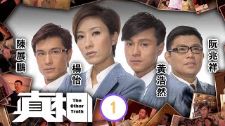 TVB法律劇  真相 0125  陳展鵬思傑拯救 被虐母子  楊怡、黃浩然、陳展鵬、阮兆祥、唐詩詠、馬國明  粵語中字  2011 [upl. by Barta]