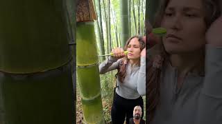 nature bamboo bushcraft satisfying wood survival lifehack camping outdoors funny [upl. by Adia64]