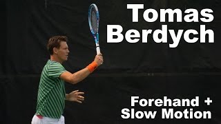 Tomas Berdych I Forehand  Slow Motion I 2015 [upl. by Drofnats]