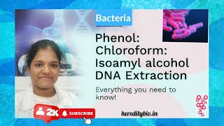 Bacterial DNA isolation by PhenolChloroform Method ।Heredity Biosciences [upl. by Arymat380]