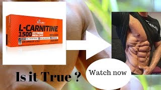 l carnitine effects [upl. by Onilegna75]