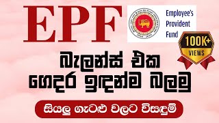 How to Check EPF Balance In Sri Lanka  EPF බැලන්ස් එක ලේසියෙන්ම බලමු  Dp hub [upl. by Annairol]