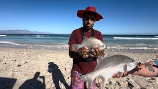 Fishing for Galjoen in Cape TownCatchampCook [upl. by Yelkao]