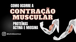 COMO OCORRE A CONTRAÇÃO MUSCULAR Miosina e Actina [upl. by Nnylarac]