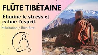 Flûte Tibétaine Relaxante  Musique pour Méditation Sommeil et Relaxation [upl. by Ayama]