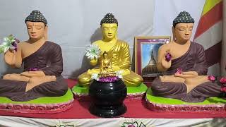 Bhikkhu Wisarad vipassana Dhyan Abhayash 20810625 [upl. by Jempty]