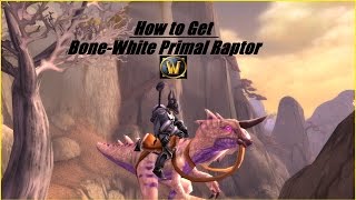 How To Guide BoneWhite Primal Raptor Mount WoW [upl. by Anohr]