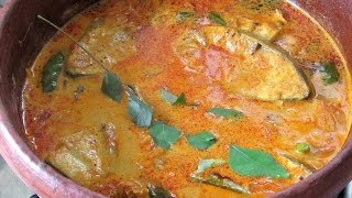 Kerala fish Curry With Coconut Milk  Kerala Recipes  Nisa Homey [upl. by Babb788]