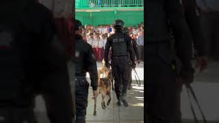 Con el oficial Castañón siempre al servicio de nuestras niñas niños y familias en Santa Catarina🚔 [upl. by Elamaj557]