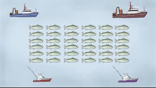 Fisheries Economics amp Policy Intro to Fisheries Management [upl. by Oralla265]