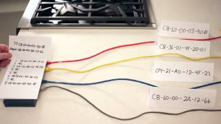 CompTIA Network Certification License to Tech Ep 006 Hubs vs Switches [upl. by Negyam]