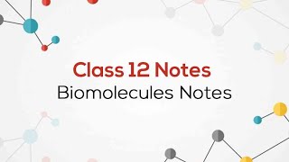 Biomolecules Class 12 Chemistry Chapter 10 handwritten notes chemistry [upl. by Rriocard]